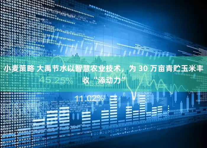 小麦策略 大禹节水以智慧农业技术，为 30 万亩青贮玉米丰收 “添动力”
