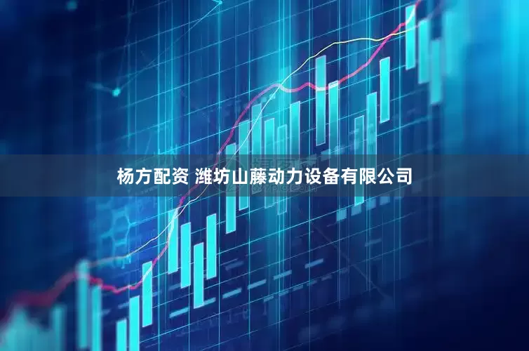 杨方配资 潍坊山藤动力设备有限公司
