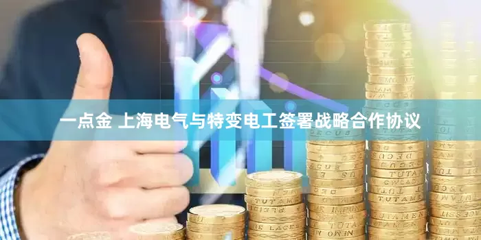 一点金 上海电气与特变电工签署战略合作协议