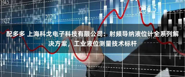 配多多 上海科戈电子科技有限公司：射频导纳液位计全系列解决方案，工业液位测量技术标杆