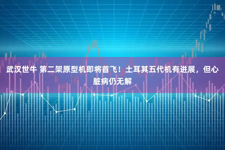 武汉世牛 第二架原型机即将首飞！土耳其五代机有进展，但心脏病仍无解