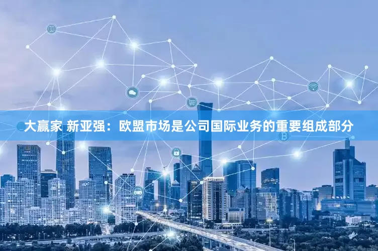 大赢家 新亚强：欧盟市场是公司国际业务的重要组成部分