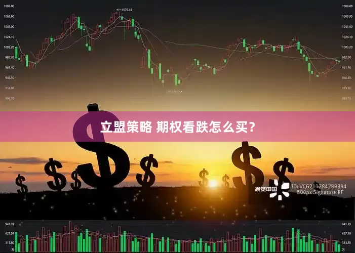 立盟策略 期权看跌怎么买？
