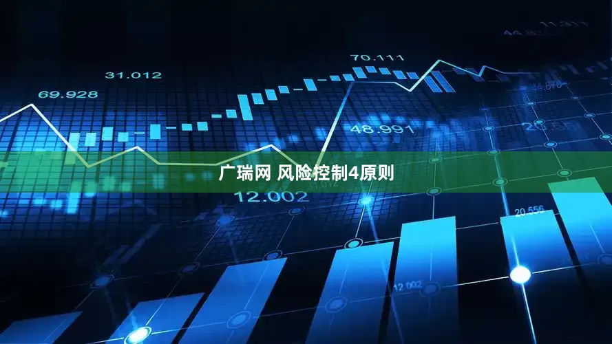 广瑞网 风险控制4原则