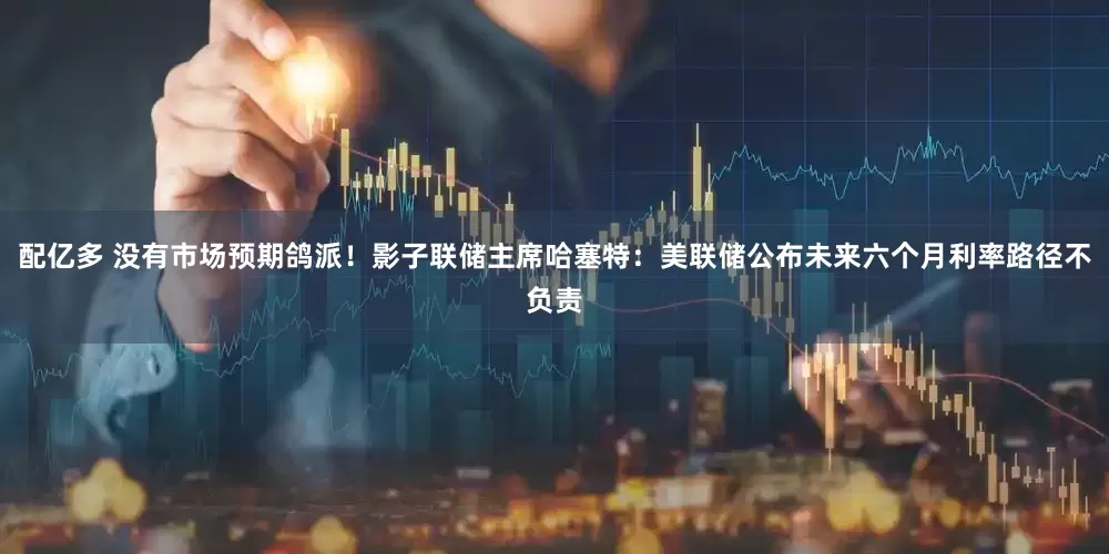配亿多 没有市场预期鸽派！影子联储主席哈塞特：美联储公布未来六个月利率路径不负责