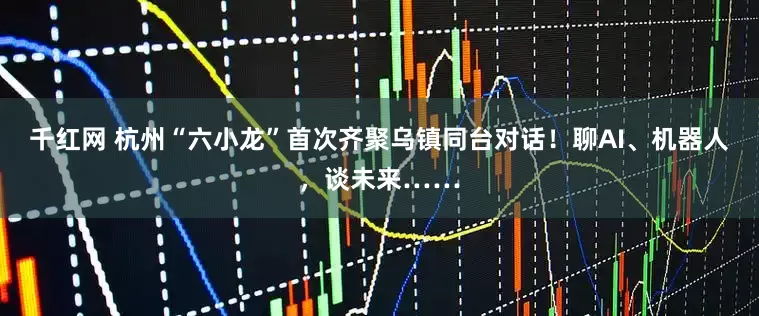 千红网 杭州“六小龙”首次齐聚乌镇同台对话！聊AI、机器人，谈未来……