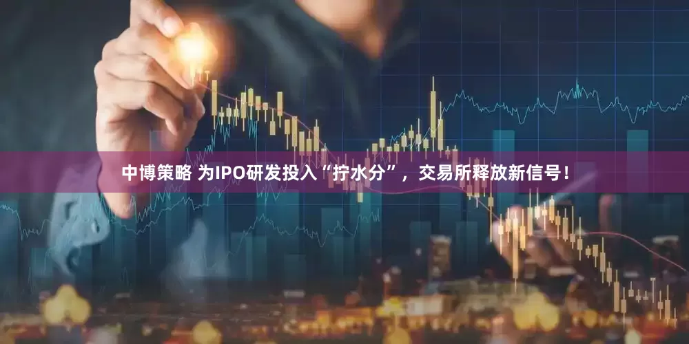中博策略 为IPO研发投入“拧水分”，交易所释放新信号！